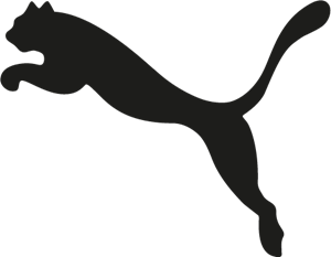Puma Training Formknit Seamless Long Tights In Black
